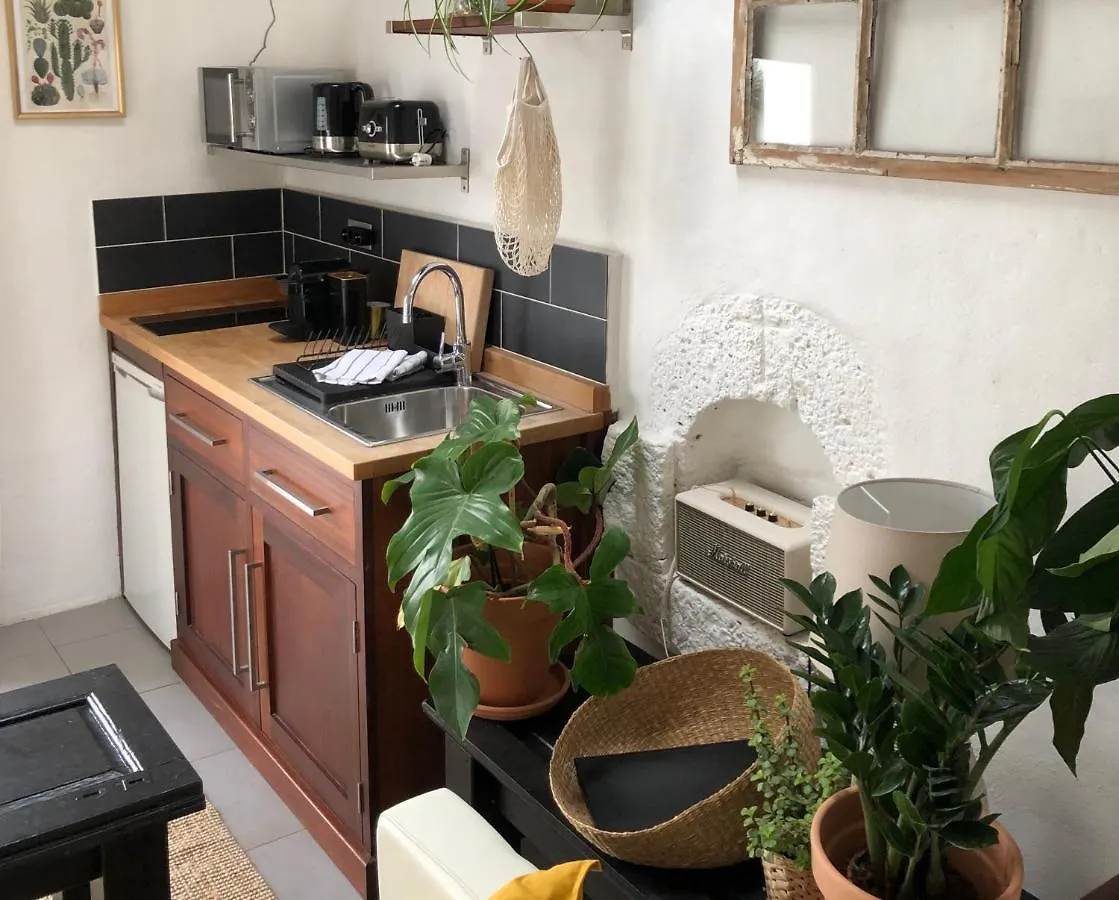 Sala Botanica Studio - Shared Pool - Central Island Location - 10 Mins Drive To Famara And La Santa Tiagua