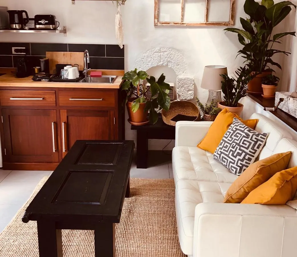 Sala Botanica Studio - Shared Pool - Central Island Location - 10 Mins Drive To Famara And La Santa Tiagua Apartment